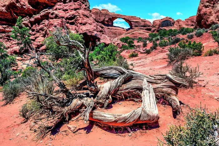 Framed Print : Skyline Arch, Arches National Park, Moab, Utah, USA Framed Print : Skyline Arch, Arches National Park, Moab, Utah, USA