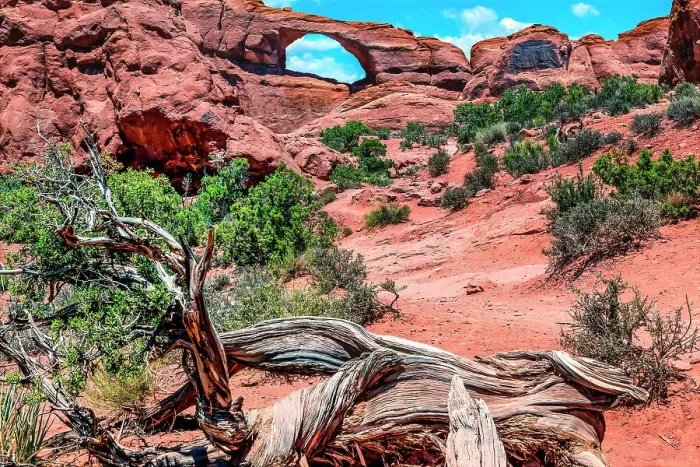 Framed Print : Skyline Arch, Arches National Park, Moab, Utah, USA Framed Print : Skyline Arch, Arches National Park, Moab, Utah, USA