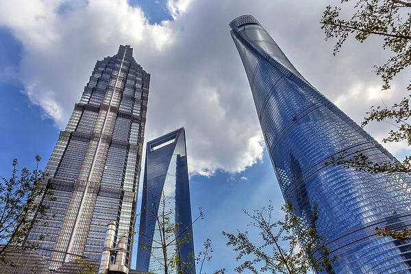 Three Skyscrapers Trees Reflections Liujiashui Financial District Shanghai China