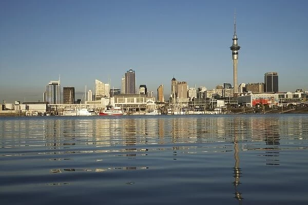Skytower and Auckland Central Business District, St Marys Bay, Auckland, North Island, New Zealand