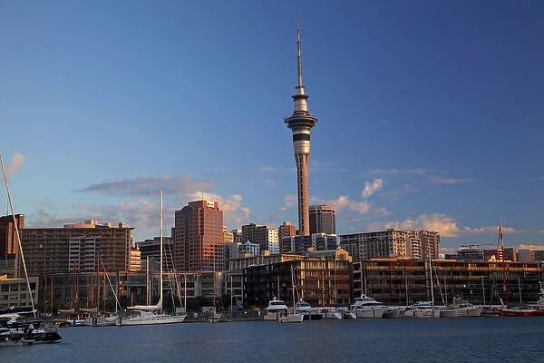 Skytower, Central Business District, and yachts, Viaduct Harbour, Auckland, North Island, New Zealand