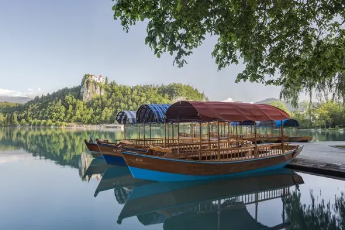 Framed Print : Slovenia, Bled, Lake Bled, Plenta Boats Framed Print : Slovenia, Bled, Lake Bled, Plenta Boats