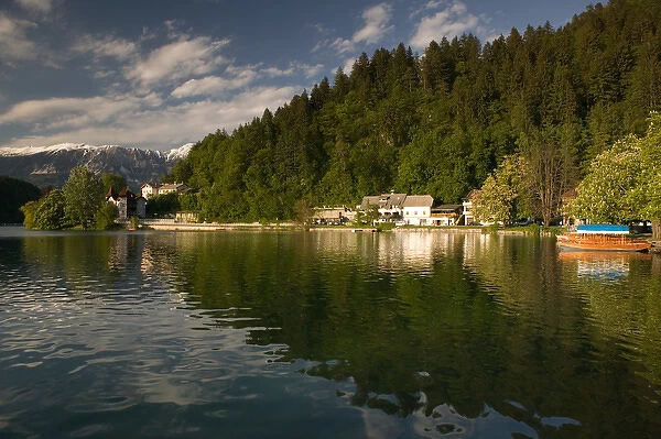 SLOVENIA-GORENJSKA-Bled: Lake Bled View from Mlino Village