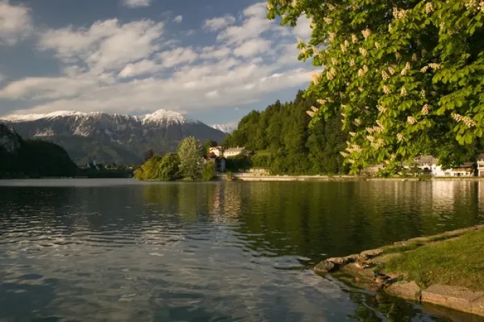 Framed Print : SLOVENIA-GORENJSKA-Bled: Lake Bled View from Mlino Village