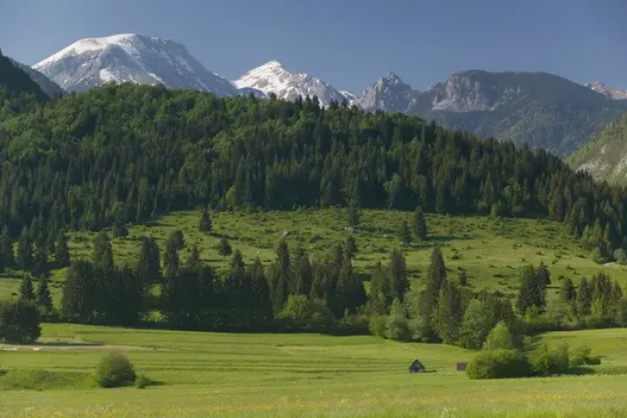 Framed Print : SLOVENIA-GORENJSKA-Ribcev Laz: Fields & Julian Alps Framed Print : SLOVENIA-GORENJSKA-Ribcev Laz: Fields & Julian Alps