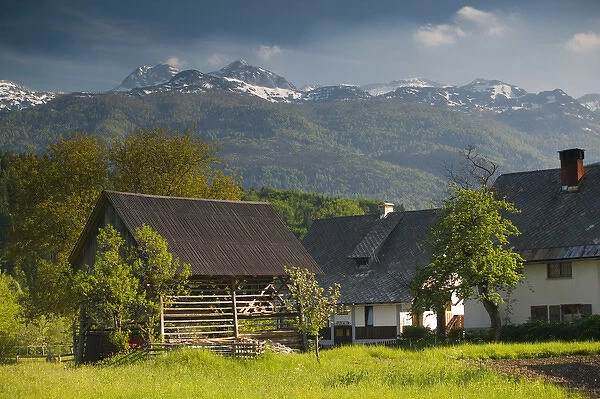 SLOVENIA-GORENJSKA-Stara Fuzina: Toplarji Slovenian Hayracks  /  Farm