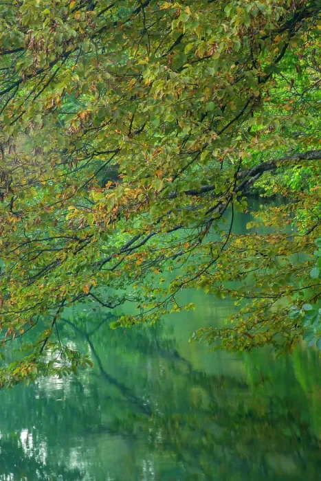 Framed Print : Slovenia, Lake Bled. Autumn tree limbs reflect in lake. ©Cathy & Gordon Illg / Jaynes Gallery / DanitaDelimont.com Framed Print : Slovenia, Lake Bled. Autumn tree limbs reflect in lake. ©Cathy & Gordon Illg / Jaynes Gallery / DanitaDelimont.com