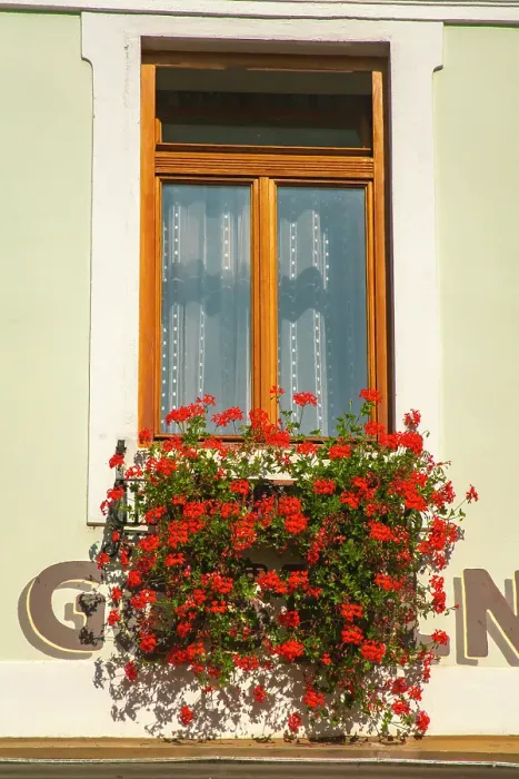 Framed Print : Slovenia, Randovljika. Window and flower box in town. ©Cathy & Gordon Illg / Jaynes Gallery / DanitaDelimont.com Framed Print : Slovenia, Randovljika. Window and flower box in town. ©Cathy & Gordon Illg / Jaynes Gallery / DanitaDelimont.com