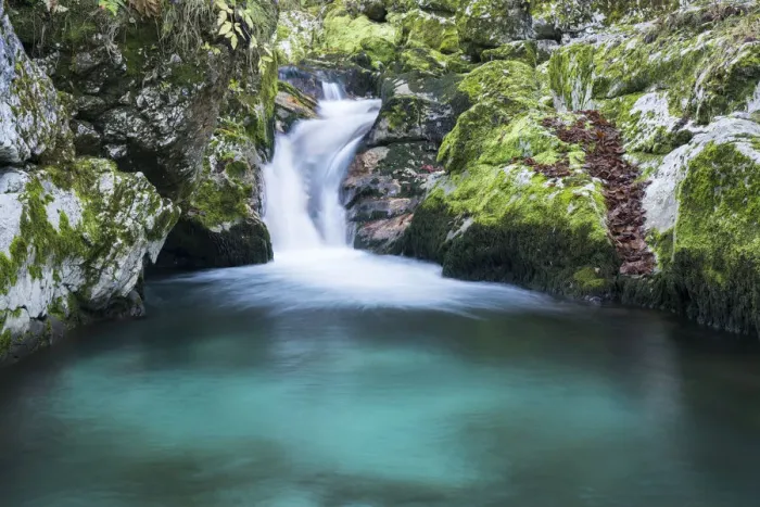 Framed Print : Slovenia. Small stream of pure mountain water cascades down mossy rocks