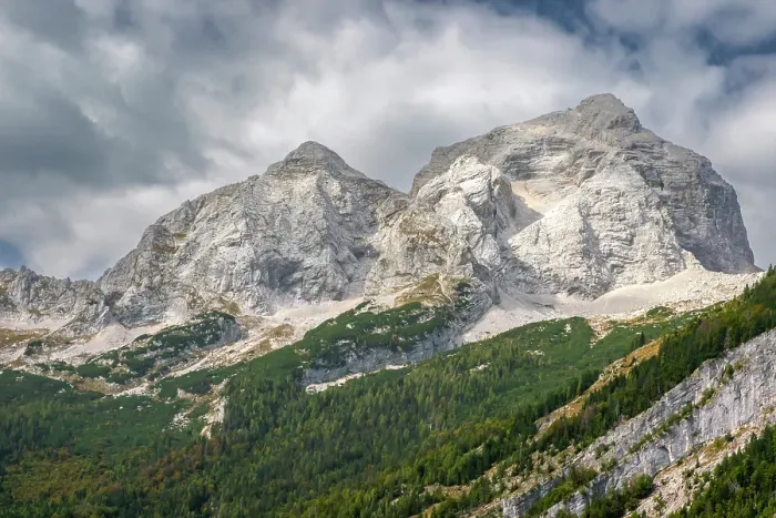 Framed Print : Slovenia, Triglav National Park. Landscape with forest and Julian Alps. ©Cathy & Gordon Illg  /  Jaynes Gallery  /  DanitaDelimont.com