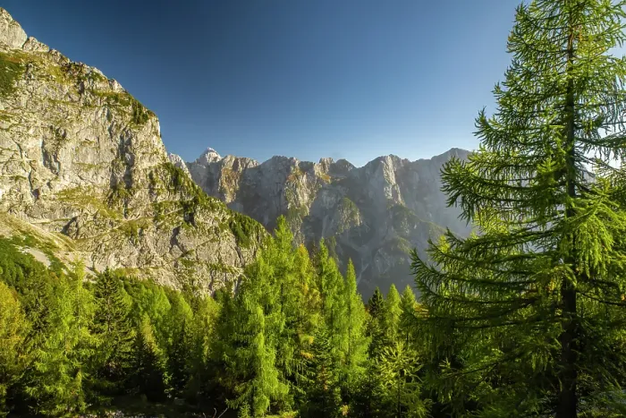 Framed Print : Slovenia, Triglav National Park. Landscape with Julian Alps. ©Cathy & Gordon Illg  /  Jaynes Gallery  /  DanitaDelimont.com
