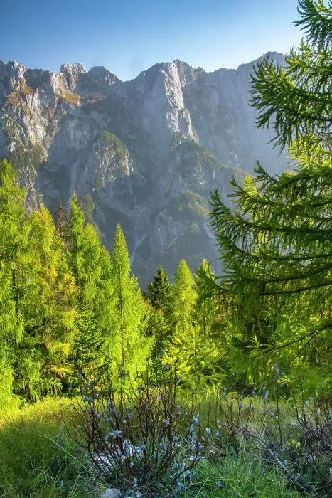 Framed Print : Slovenia, Triglav National Park. Landscape with forest and Julian Alps. ©Cathy & Gordon Illg / Jaynes Gallery / DanitaDelimont.com Framed Print : Slovenia, Triglav National Park. Landscape with forest and Julian Alps. ©Cathy & Gordon Illg / Jaynes Gallery / DanitaDelimont.com
