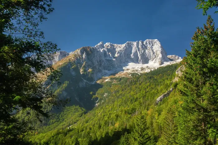 Framed Print : Slovenia, Triglav National Park. Landscape with forest and Julian Alps. ©Cathy & Gordon Illg / Jaynes Gallery / DanitaDelimont.com Framed Print : Slovenia, Triglav National Park. Landscape with forest and Julian Alps. ©Cathy & Gordon Illg / Jaynes Gallery / DanitaDelimont.com