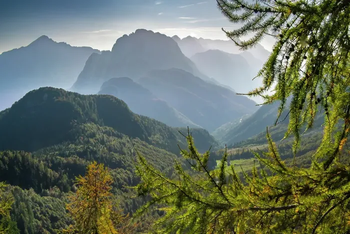 Framed Print : Slovenia, Triglav National Park. Landscape with forest and Julian Alps. ©Cathy & Gordon Illg / Jaynes Gallery / DanitaDelimont.com Framed Print : Slovenia, Triglav National Park. Landscape with forest and Julian Alps. ©Cathy & Gordon Illg / Jaynes Gallery / DanitaDelimont.com
