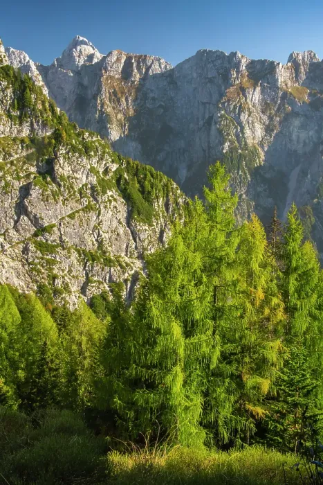 Framed Print : Slovenia, Triglav National Park. Landscape with forest and Julian Alps. ©Cathy & Gordon Illg / Jaynes Gallery / DanitaDelimont.com Framed Print : Slovenia, Triglav National Park. Landscape with forest and Julian Alps. ©Cathy & Gordon Illg / Jaynes Gallery / DanitaDelimont.com