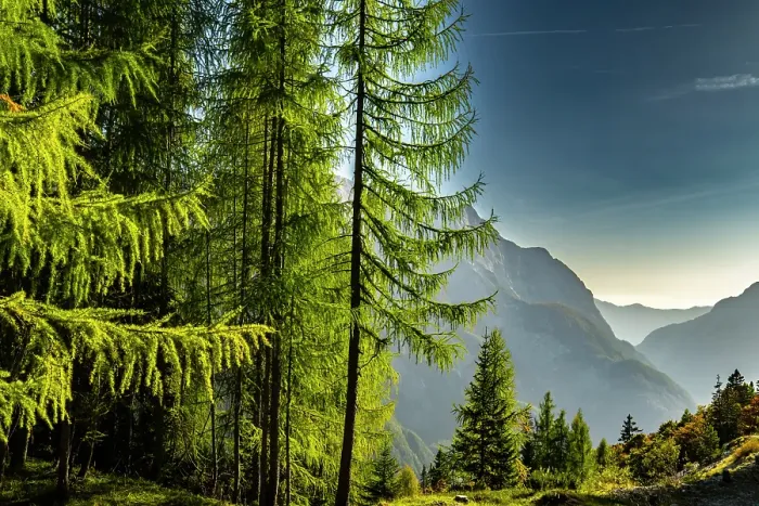 Framed Print : Slovenia, Triglav National Park. Landscape with Julian Alps. ©Cathy & Gordon Illg / Jaynes Gallery / DanitaDelimont.com Framed Print : Slovenia, Triglav National Park. Landscape with Julian Alps. ©Cathy & Gordon Illg / Jaynes Gallery / DanitaDelimont.com