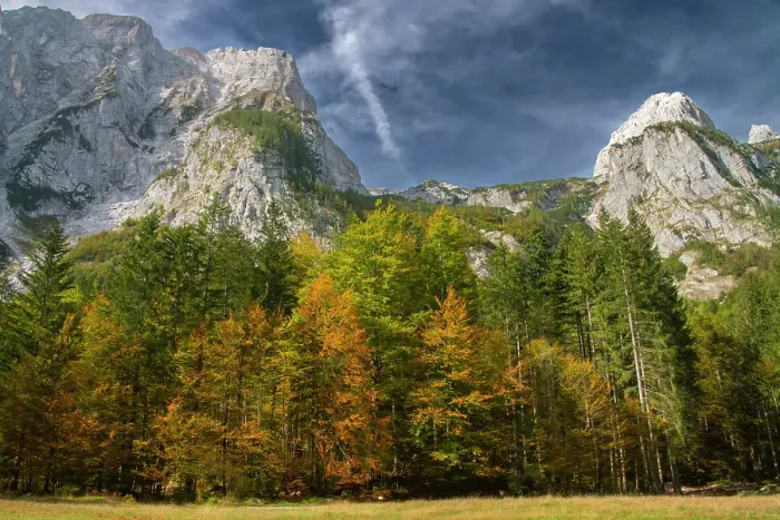 Framed Print : Slovenia, Triglav National Park. Julian Alps and forest in autumn. ©Cathy & Gordon Illg  /  Jaynes Gallery  /  DanitaDelimont.com
