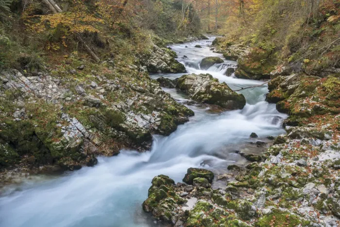 Framed Print : Slovenia, Vintgar. River flowing through the Vintgar Gorge Framed Print : Slovenia, Vintgar. River flowing through the Vintgar Gorge