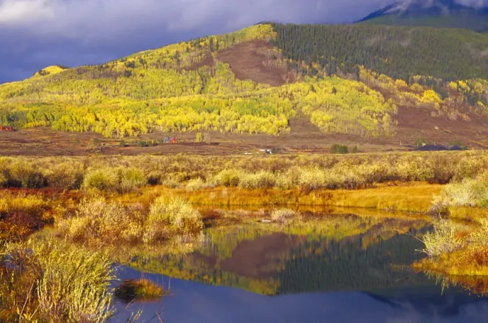 Framed Print : Small beaver pond with hillside of autumn colors near Crested Butte Framed Print : Small beaver pond with hillside of autumn colors near Crested Butte