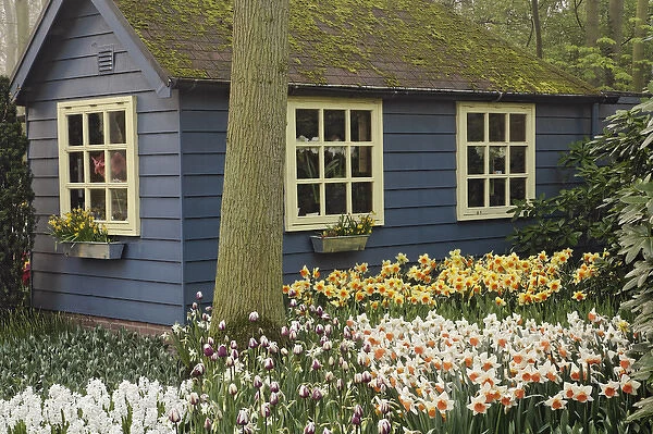 Small cottage flower shop, Keukenhof Gardens, Lisse, Netherlands