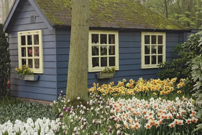 Framed Print : Small cottage flower shop, Keukenhof Gardens, Lisse, Netherlands Framed Print : Small cottage flower shop, Keukenhof Gardens, Lisse, Netherlands