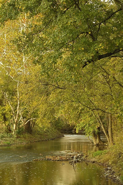 Small creek at sunrise, Bluegrass region near Lexington, Kentucky