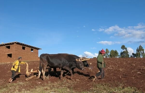 Small farm family working in fields of Sacred Valley town of Urubamba Peru