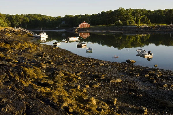 A small harbor in Blue Hill Falls, Maine