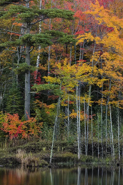 Small lake with autumn color near Marquette, Michigan USA
