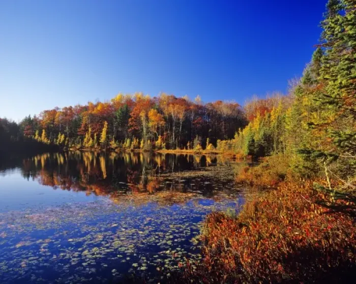 Framed Print : Small pond reflects autumn colors in the Chequamegon- Nicolet National forest in