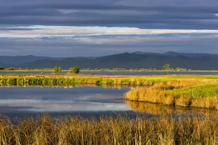 Framed Print : Small pond reflects the clouds at sunrise in the Ninepipe WMA in the Mission Valley Framed Print : Small pond reflects the clouds at sunrise in the Ninepipe WMA in the Mission Valley