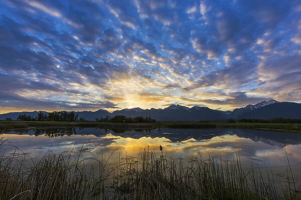 Small pond reflects the Mission Mountains at sunrise in the Ninepipe WMA in the Mission Valley