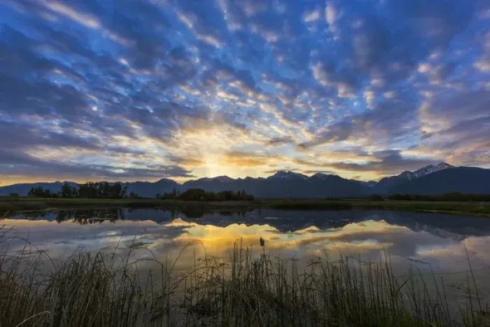 Framed Print : Small pond reflects the Mission Mountains at sunrise in the Ninepipe WMA in the Mission Valley Framed Print : Small pond reflects the Mission Mountains at sunrise in the Ninepipe WMA in the Mission Valley