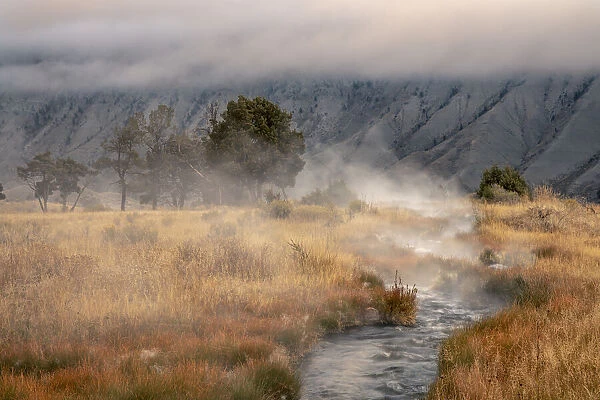 Small steaming hot spring running through meadow of golden autumn grasses, Canary Spring