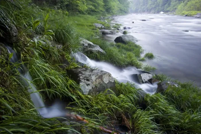 Framed Print : A small stream cascades into the West Branch of the Westfield River in Chesterfield, Massachusetts Framed Print : A small stream cascades into the West Branch of the Westfield River in Chesterfield, Massachusetts
