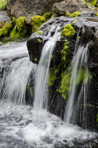 Small stream cascading over rocks in mountains of Kilauea, Kauai, Hawaii