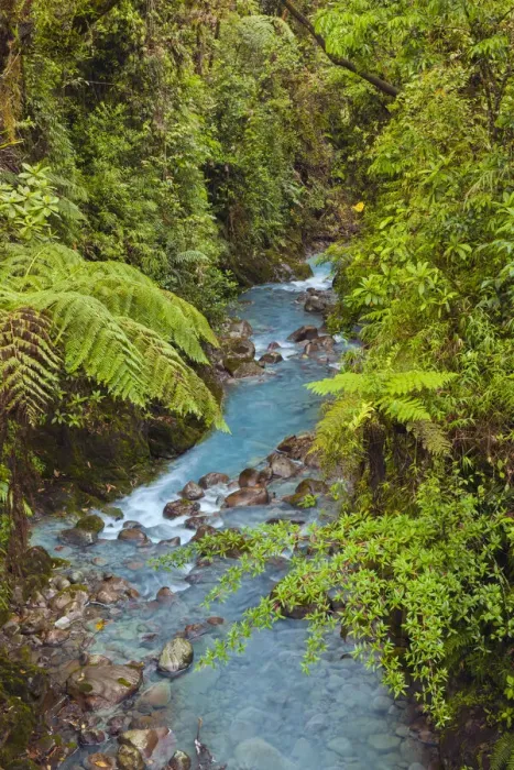 Framed Print : Small stream or creek, Costa Rica