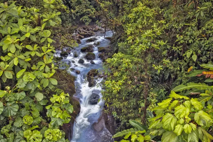 Framed Print : Small stream or creek, Costa Rica Framed Print : Small stream or creek, Costa Rica