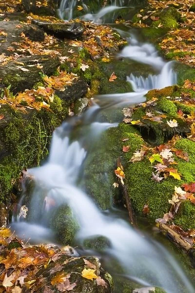 A small stream flows over moss-covered rocks in Vermonts Green Mountains