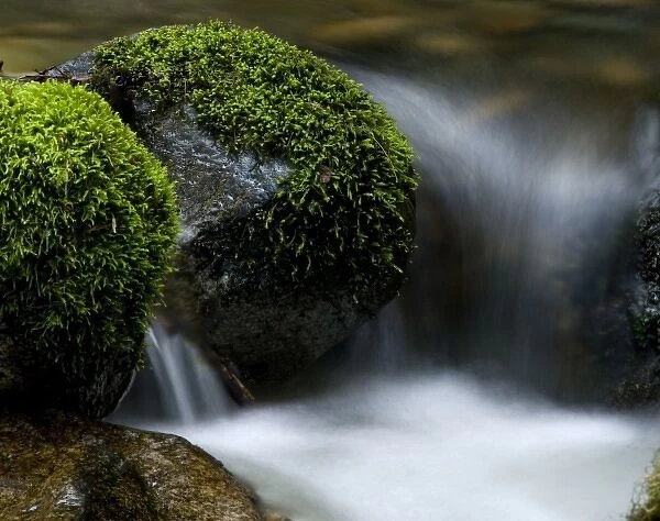 Small Stream Running Through Moss Covered Rocks