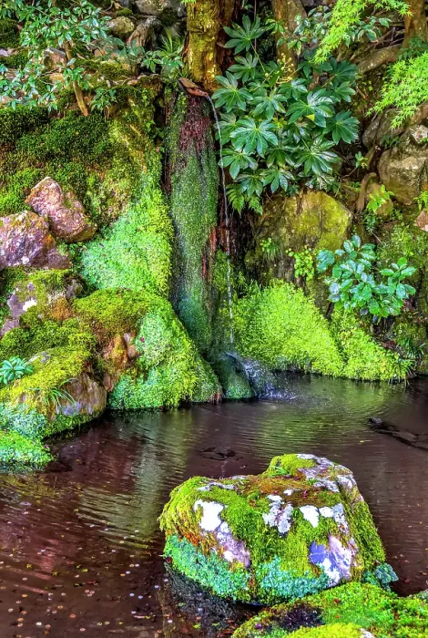 Framed Print : Small waterfall, Ginkaku-ji Temple, Kyoto, Japan. Built in 1460 by Ashikaga Yoshimasa