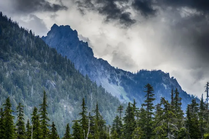 Framed Print : Smokey clouds and crags, Quinault River Trail, Olympic National Park, Washington State Framed Print : Smokey clouds and crags, Quinault River Trail, Olympic National Park, Washington State