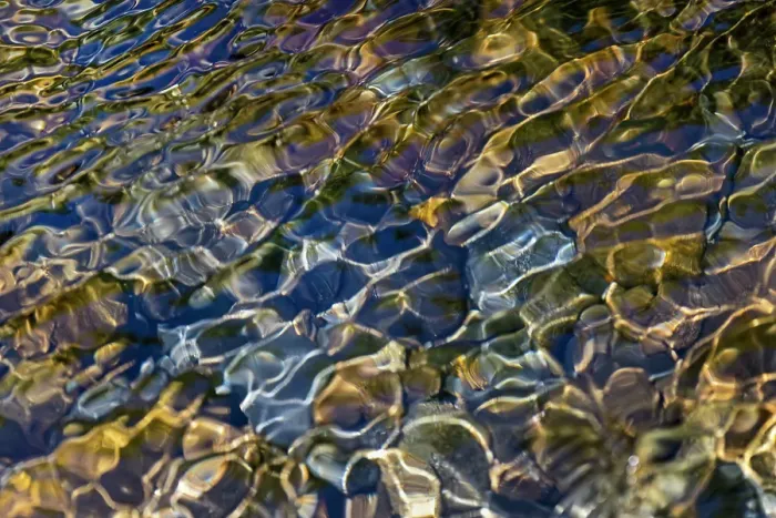 Framed Print : Smooth river rocks beneath surface of small stream, Great Smoky Mountains National Park, Tennessee