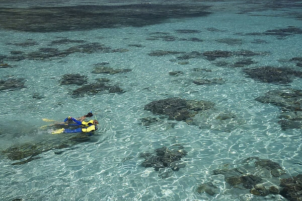 Snorkelers and Reef, Green Island, Great Barrier Reef Marine Park, North Queensland