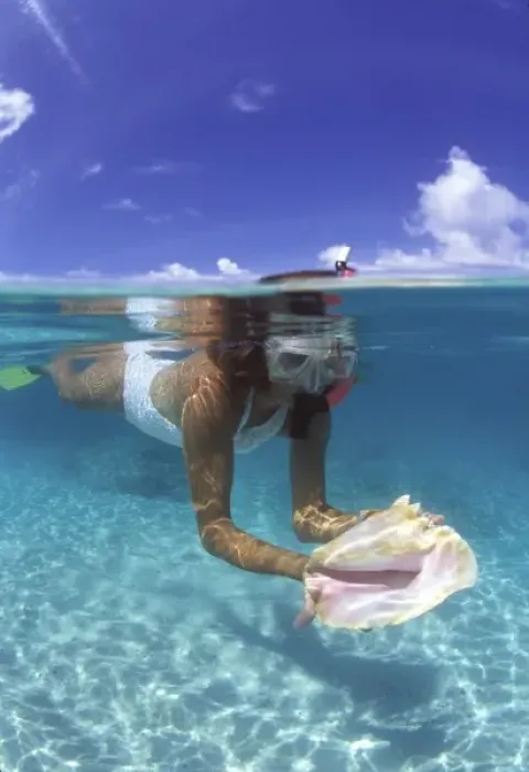 Framed Print : Snorkeling in the blue waters of the Bahamas