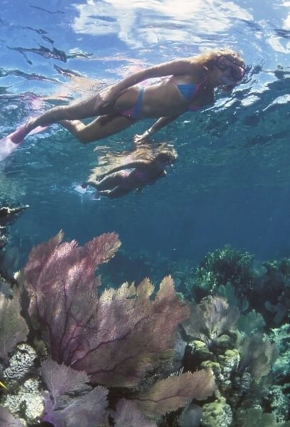 Snorkeling in the blue waters of the Bahamas. (MR)