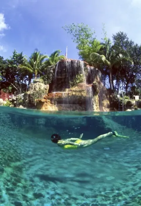 Framed Print : Snorkeling in the Venetian Pool in Coral Gables. (MR) Framed Print : Snorkeling in the Venetian Pool in Coral Gables. (MR)