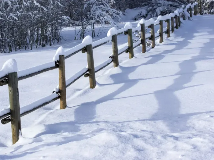 Framed Print : Snow covered fence Framed Print : Snow covered fence