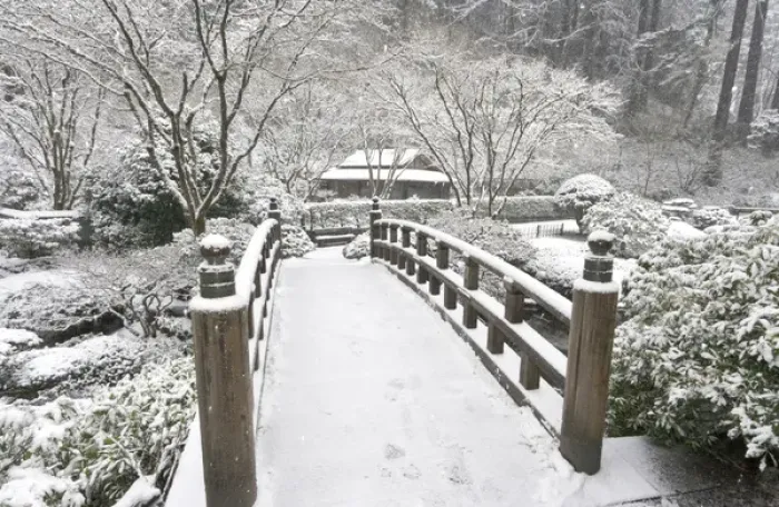 Framed Print : Snow-covered moon bridge, Portland Japanese Garden, Oregon Framed Print : Snow-covered moon bridge, Portland Japanese Garden, Oregon