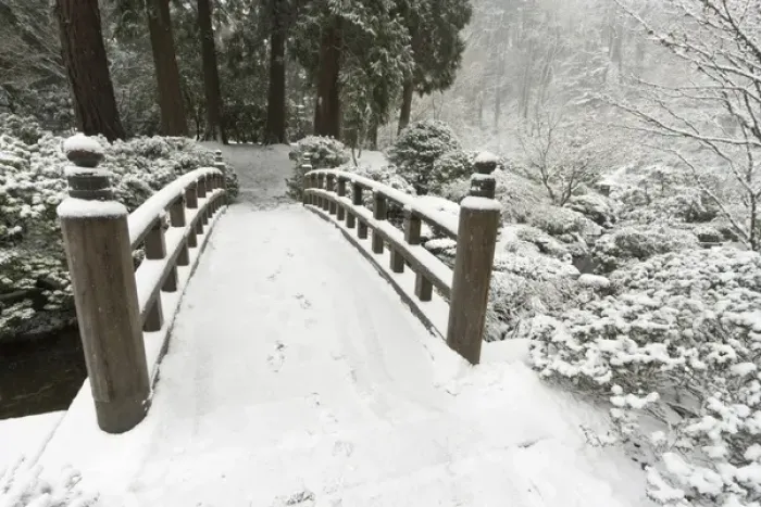 Framed Print : Snow-covered moon bridge, Portland Japanese Garden, Oregon
